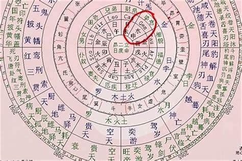 瑞生是什麼意思|八字瑞生意思 